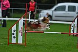 Royal Canin Masters 2025 geldrop