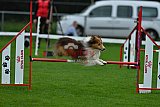 Royal Canin Masters 2025 geldrop