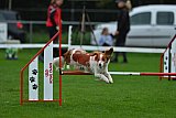Royal Canin Masters 2025 geldrop
