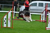 Royal Canin Masters 2025 geldrop
