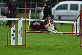 Royal Canin Masters 2025 geldrop