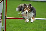 Royal Canin Masters 2025 geldrop