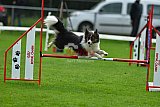 Royal Canin Masters 2025 geldrop