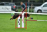 Royal Canin Masters 2025 geldrop