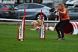 Royal Canin Masters 2025 geldrop