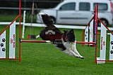 Royal Canin Masters 2025 geldrop