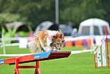 Royal Canin Masters 2025 geldrop