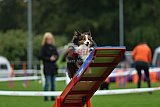 Royal Canin Masters 2025 geldrop