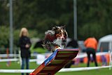 Royal Canin Masters 2025 geldrop