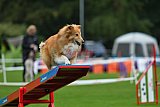 Royal Canin Masters 2025 geldrop