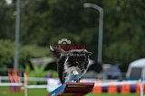 Royal Canin Masters 2025 geldrop