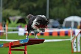 Royal Canin Masters 2025 geldrop