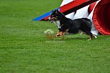 Royal Canin Masters 2025 geldrop