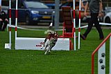 Royal Canin Masters 2025 geldrop