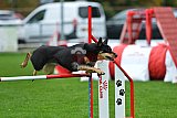 Royal Canin Masters 2025 geldrop