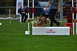 Royal Canin Masters 2025 geldrop