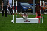 Royal Canin Masters 2025 geldrop