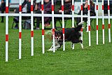 Royal Canin Masters 2025 geldrop