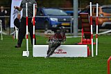 Royal Canin Masters 2025 geldrop