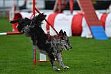 Royal Canin Masters 2025 geldrop