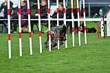 Royal Canin Masters 2025 geldrop