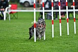 Royal Canin Masters 2025 geldrop