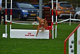 Royal Canin Masters 2025 geldrop