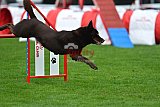 Royal Canin Masters 2025 geldrop