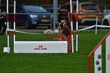 Royal Canin Masters 2025 geldrop