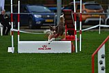 Royal Canin Masters 2025 geldrop