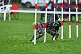 Royal Canin Masters 2025 geldrop