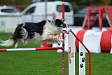 Royal Canin Masters 2025 geldrop
