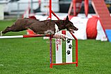 Royal Canin Masters 2025 geldrop