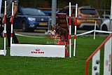 Royal Canin Masters 2025 geldrop