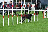 Royal Canin Masters 2025 geldrop