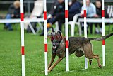 Royal Canin Masters 2025 geldrop