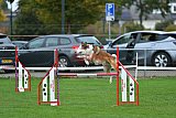 Royal Canin Masters 2025 geldrop