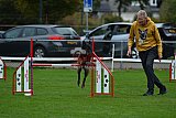 Royal Canin Masters 2025 geldrop
