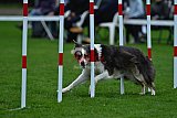 Royal Canin Masters 2025 geldrop