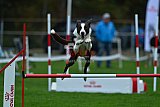Royal Canin Masters 2025 geldrop