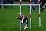 Royal Canin Masters 2025 geldrop