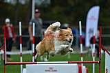 Royal Canin Masters 2025 geldrop