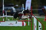 Royal Canin Masters 2025 geldrop
