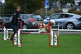 Royal Canin Masters 2025 geldrop