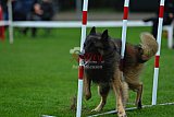 Royal Canin Masters 2025 geldrop