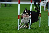 Royal Canin Masters 2025 geldrop