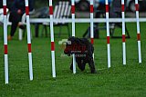 Royal Canin Masters 2025 geldrop