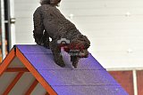 SAOWC/ JAOWC