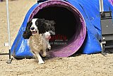  SAOWC/ JAOWC