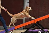  SAOWC/ JAOWC